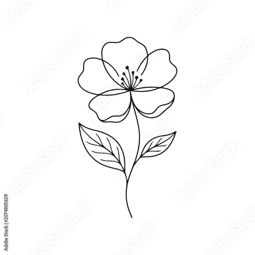Minimalist line drawing of a single flower with leaves on a white background