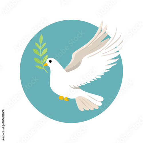 White dove with olive branch vector illustration