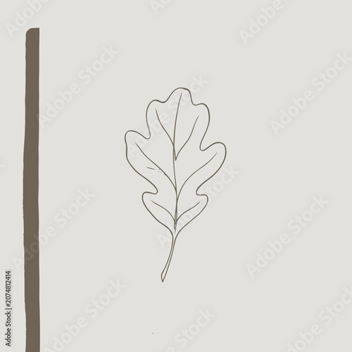 Minimalist Oak Leaf Outline Drawing on Beige Background