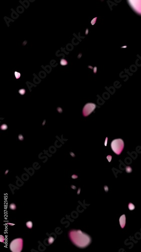 A 4K, 60 fps vertical video of realistic 3D render of pink cherry blossom petals gently falling in the air with depth of field on transparent background, alpha channel.