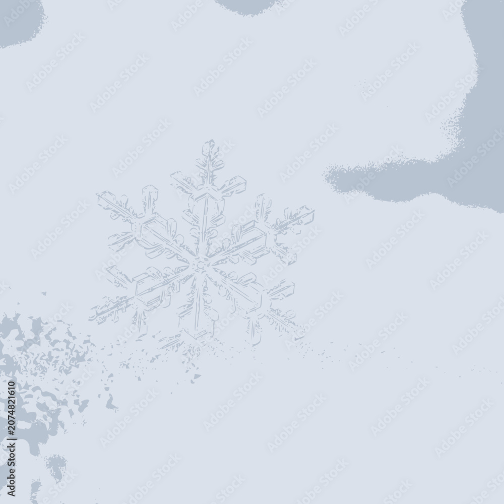Obraz premium Delicate snowflake macro detail on soft white background, winter close-up