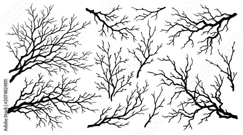 Black tree branches and birds silhouette