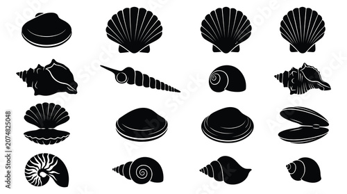 Collection of black seashell icons