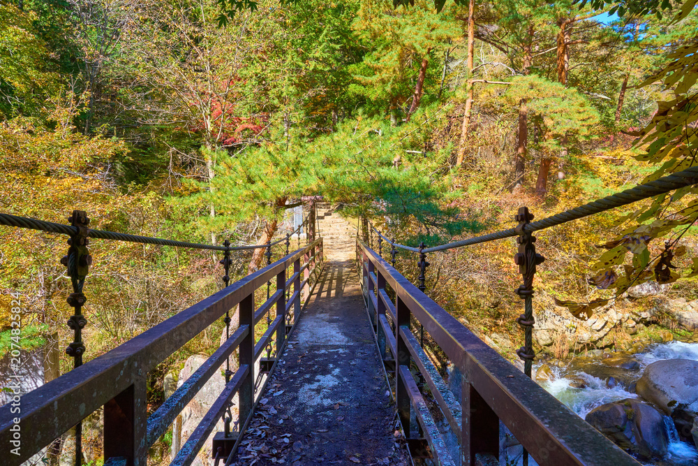 Fototapeta premium 秋の山梨県甲府市 昇仙峡の遊歩道から羅漢寺に向かう吊橋