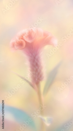 Soft pastel floral dreamscape mobile wallpaper