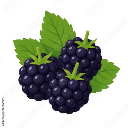 blackberry with leaves