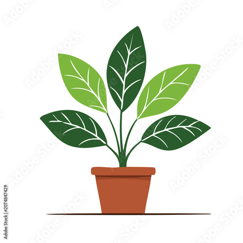 Flat vector illustration of a potted plant with green leaves