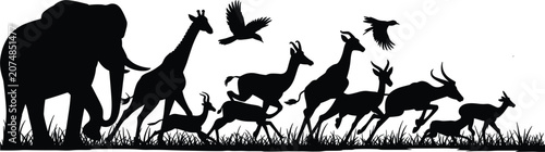 Photography African safari wild animals silhouette vector collection with elephant, giraffe,