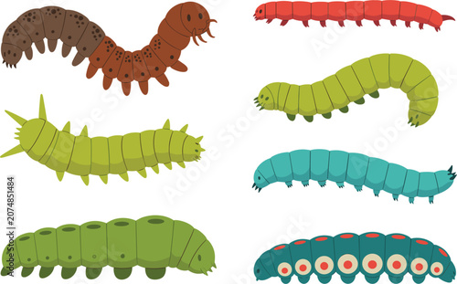 Tableau sur toile Colorful cartoon caterpillar and centipede vector collection with various insect