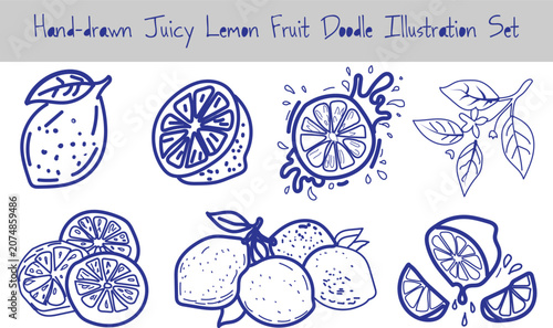 Schilderij op canvas Juicy lemon fruit doodle illustration set with sliced citrus pieces whole fruit and branches with leaves as collection of sketches for refreshing beverage menus and culinary design elements