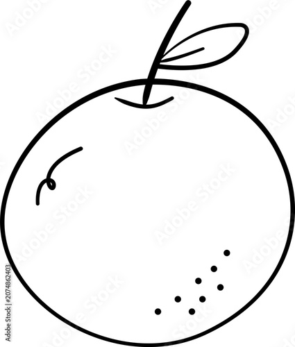 Orange fruit drawing outline.