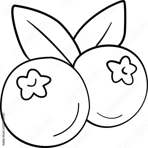 Blueberry fruit drawing outline.