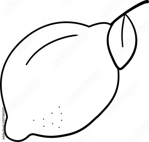 Lemon fruit drawing outline.