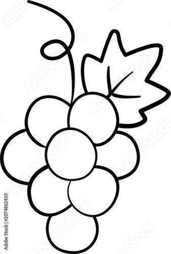  Grape fruit drawing outline.