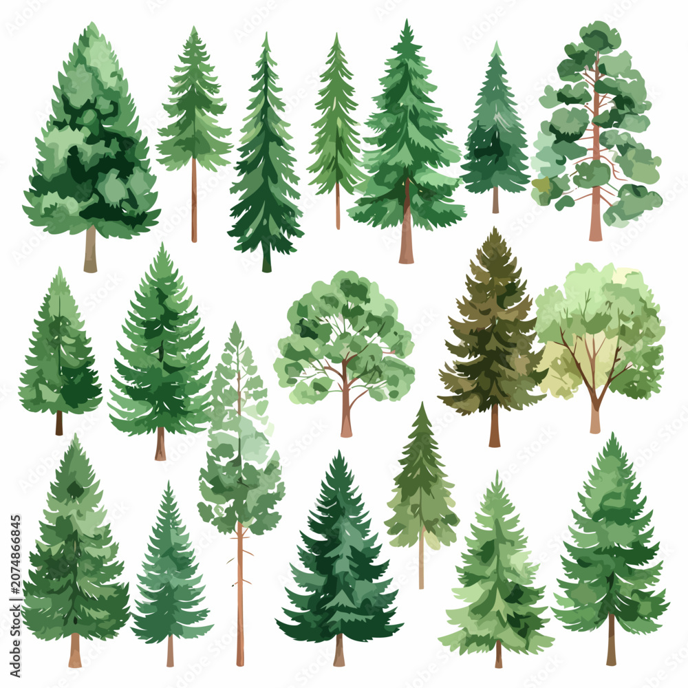 Obraz premium Collection of various coniferous and deciduous trees in watercolor style.
