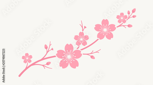 Minimalist pink cherry blossom sakura branch vector illustration on white background
