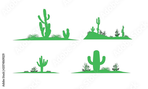 Cactus vector illustration.