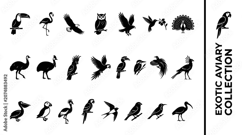 Obraz premium Exotic bird silhouette icon set featuring tropical species like toucan parrot flamingo eagle and owl vector graphics on white background