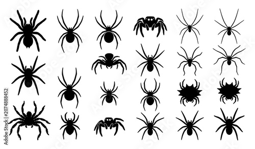 Foto Black silhouette spider vector set with 16 unique arachnid icons isolated on whi