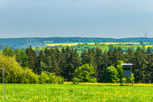 Rural meadow with hunting tower and forest in spring