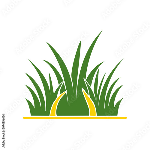 Green grass blades vector illustration