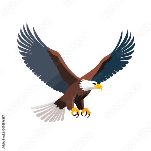 Bald Eagle in Flight Flat Vector Illustration