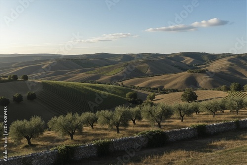 A serene agricultural landscape unfolds under warm late afternoon light, with rolling hills, vineyards, and olive groves in a tranquil rural setting.