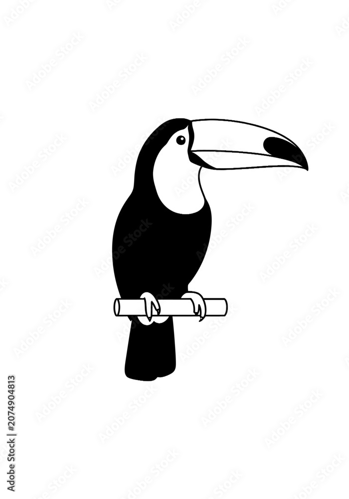 Obraz premium Simple black and white toucan perched on a branch