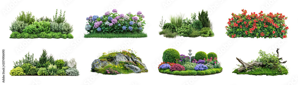 Fototapeta premium PNG Vibrant garden plant arrangements on transparent background