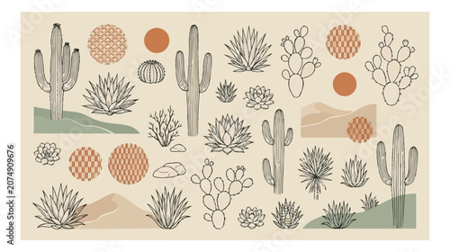 Canvastavla Desert plant vector collection, a set of 25 hand-drawn cacti and succulents, ari
