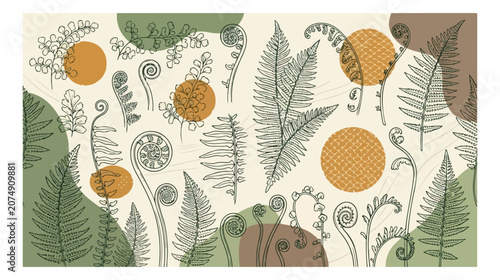 Konstfotografi Botanical fern leaves vector illustration, hand-drawn natural forest foliage, or