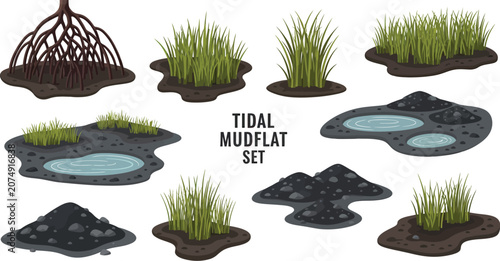 Bild auf Leinwand A set of isolated vector illustrations featuring marshland elements like mangrov