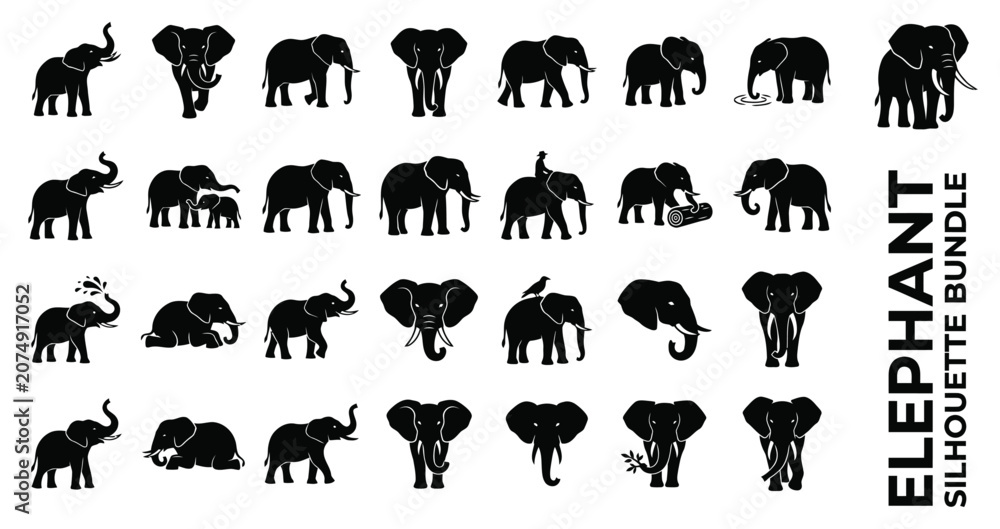 Obraz premium Set of African and Asian elephant silhouette icons in various poses and actions