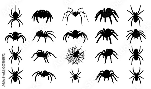 Cuadro en lienzo Flat hand drawn spider icons collection with various arachnid types isolated on