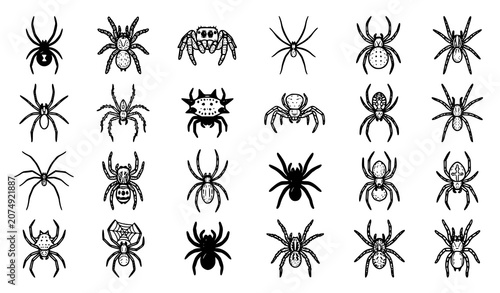 Fotografía Hand drawn flat spider icon vector set with assorted arachnid illustrations isol