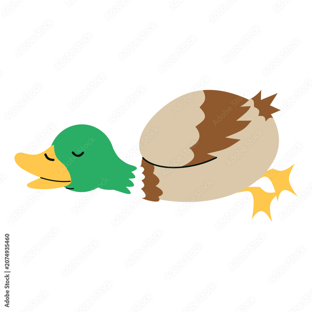 Fototapeta premium Cute Mallard Duck Character. Vector Illustration in Cartoon Style.