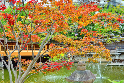 生田神社の紅葉