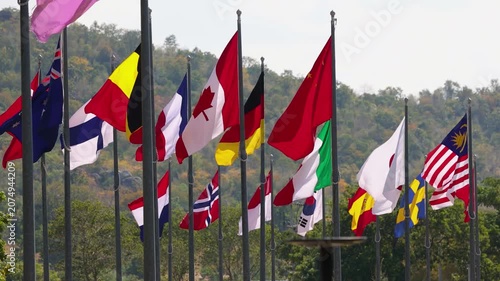 Collection of International World Flags Waving on Flagpoles Against a Nature Background
