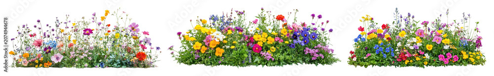 Fototapeta premium PNG Vibrant wildflower garden borders on transparent background