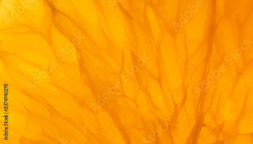 Macro Close-up Texture of Fresh Orange Fruit Pulp,A vibrant macro close-up view capturing the intricate, glowing, and organic textures of fresh orange fruit pulp.