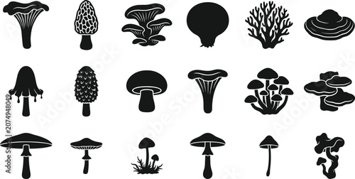Cuadro en lienzo Edible and Wild Mushroom Black Silhouette Icon Set with Chanterelle, Morel, Oyst