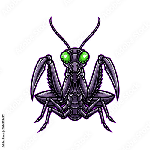Large black insect with green eyes.