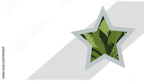 Green leaves pattern inside a modern star shape with a grey border and shadow on a clean white and grey background, symbolizing nature and eco-friendliness.