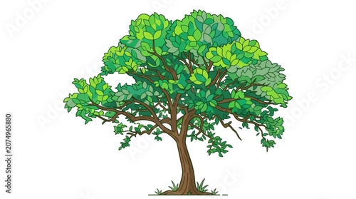 Illustration vectorielle d'un arbre à feuilles caduques avec un feuillage vert luxuriant et un tronc brun détaillé, isolé sur un fond blanc pur pour des projets de design graphique.