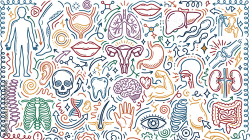 Konstfotografi Human anatomy and biological body systems concept with hand drawn medical icons