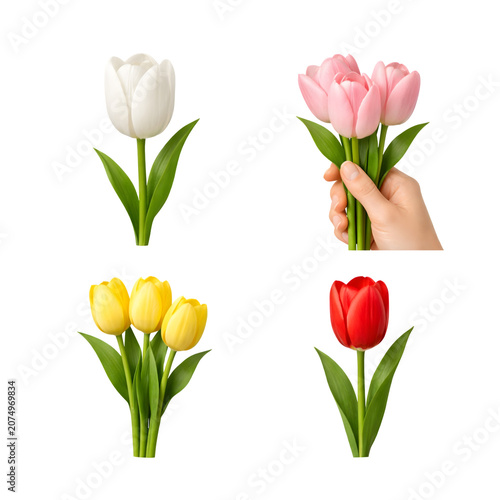 Beautiful Colorful Tulip Flower Collection PNG Set Isolated on Transparent Background – White Pink Yellow and Red Spring Floral Bouquet Clipart