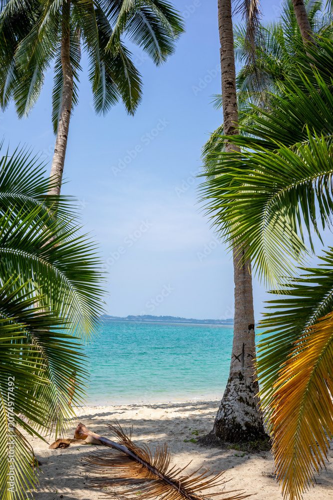 Fototapeta premium Two palm trees perfectly frame a view of turquoise tropical sea and white sand beach in the Philippines.