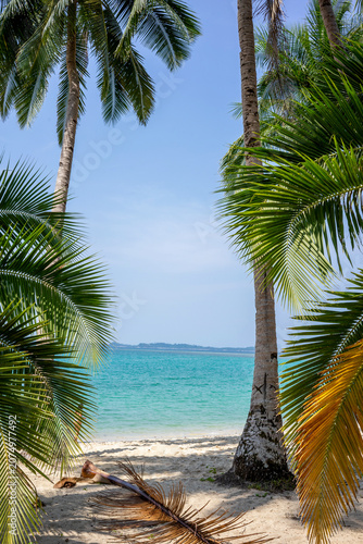 Two palm trees perfectly frame a view of turquoise tropical sea and white sand beach in the Philippines.