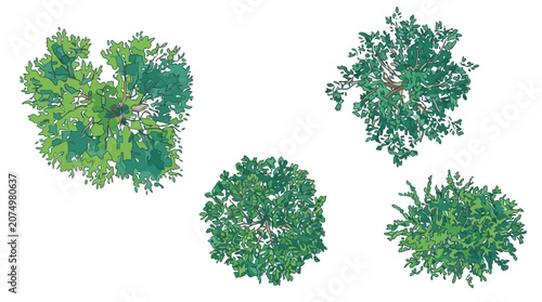 Conjunto de cuatro árboles verdes vistos desde arriba, ilustración vectorial plana con estilo artístico para diseño arquitectónico, paisajismo y planificación urbana sobre fondo blanco.