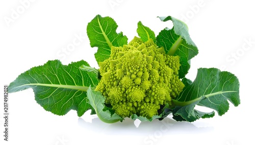 A vibrant, close-up photograph showcasing a fractal-patterned vegetable with bright green leaves against a pristine white background